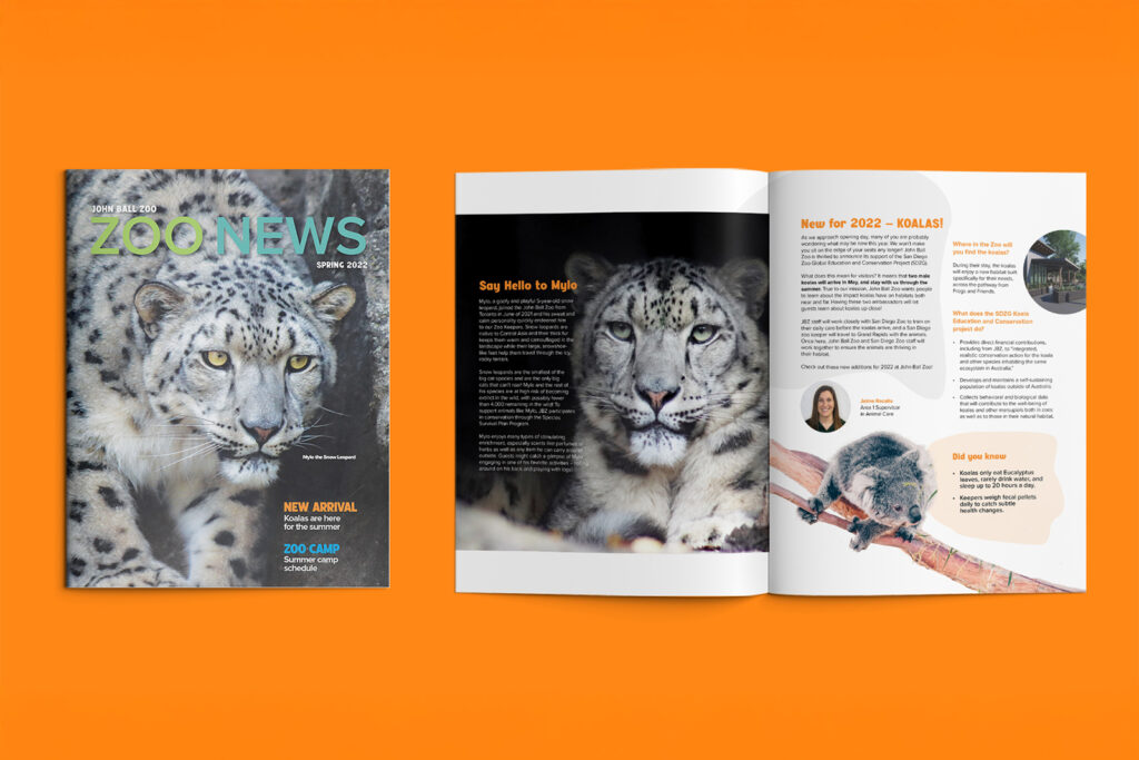 JBZ-Newsletter-Mockup-resized