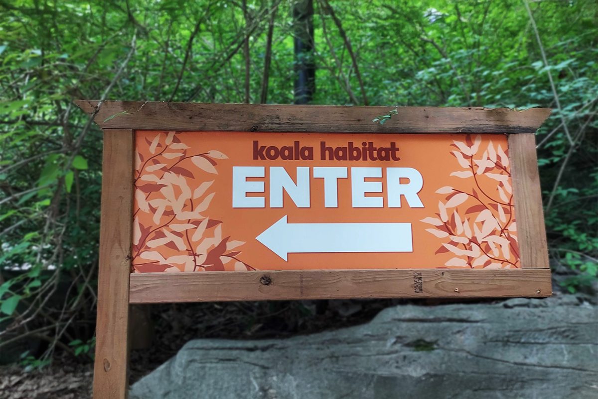 JBZ-KoalaHabitat-Enter-resized