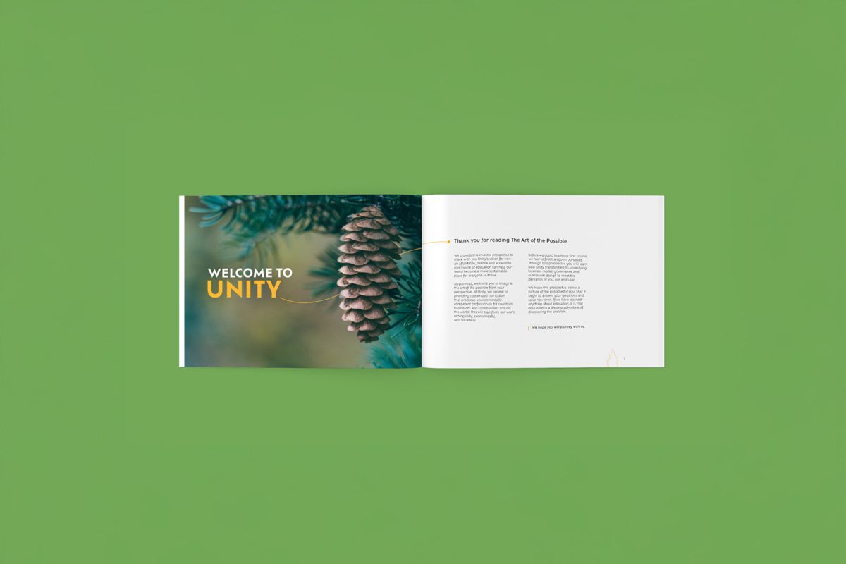 UEU-InvestorProspectus-Mockup4-resized