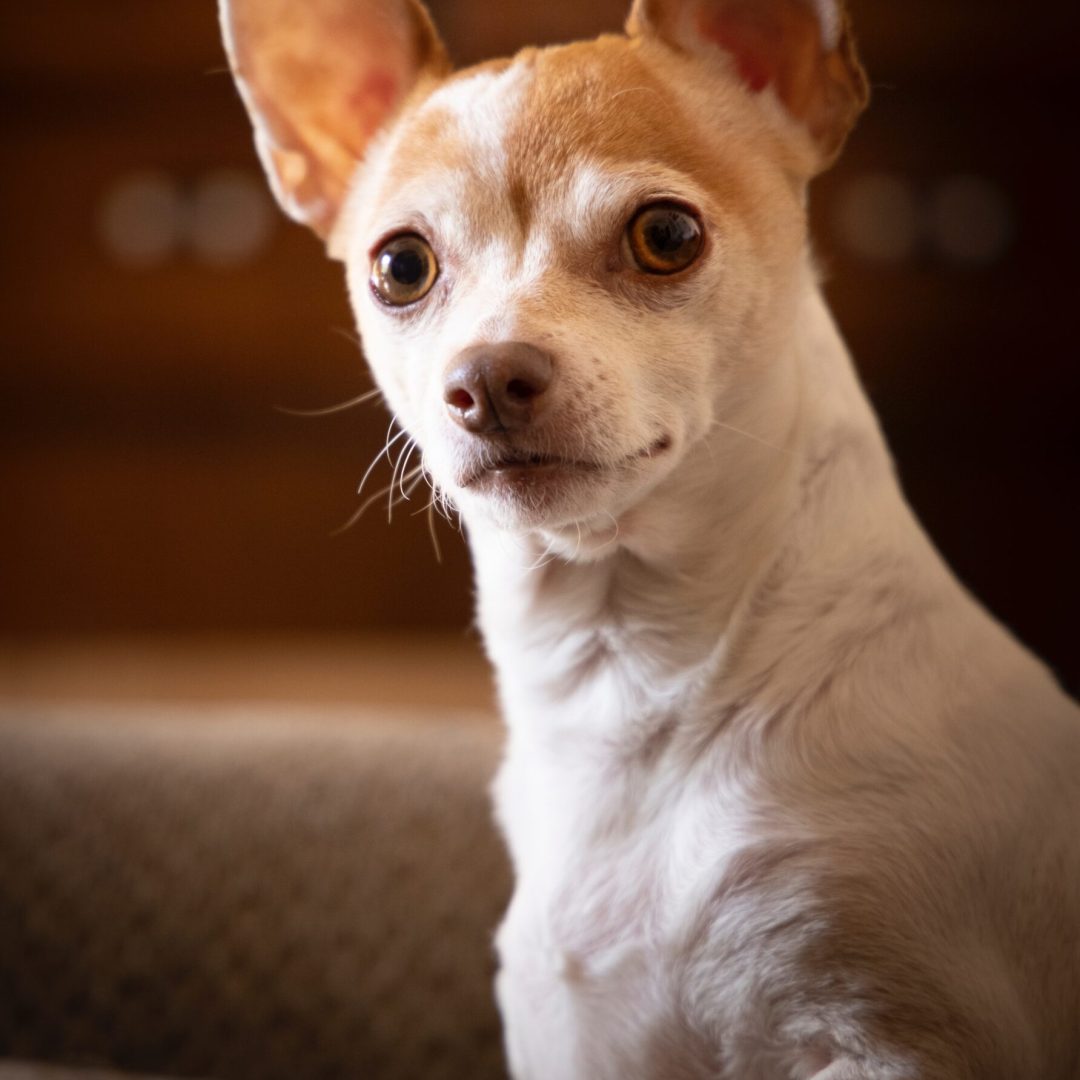 gregory-murphy-xhuZnGgnook-unsplash