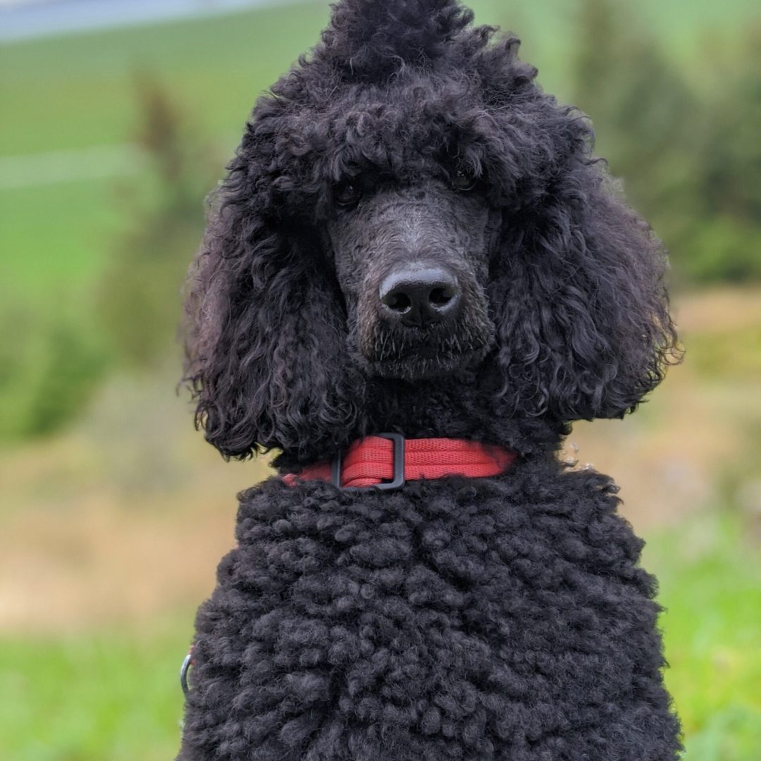 hans-ole-benonisen-x_kMuob13Tg-unsplash